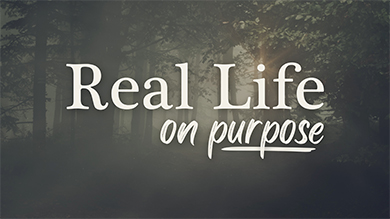 Real Life On Purpose